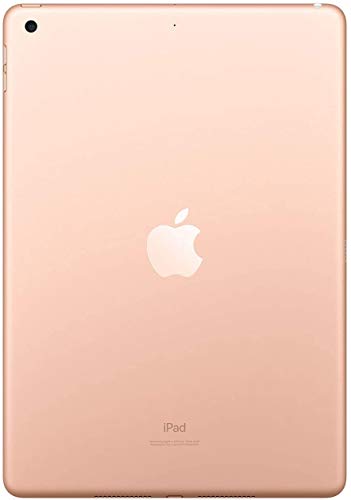Apple iPad (10.2-Inch, Wi-Fi, 32GB) - Space Gray (Renewed)