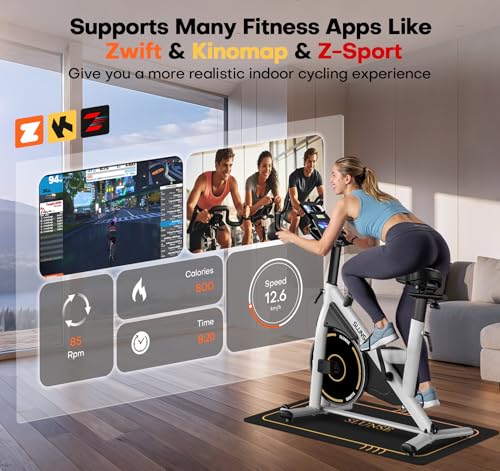 Exercise Bike, Adjustable Magnetic Resistance Stationary Bikes for Home with App Compatible