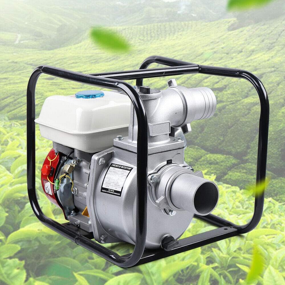 DNYSYSJ Gasoline Water Pump