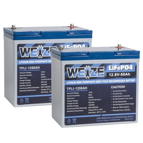 Weize 12V 100Ah TM Bluetooth LiFePO4 Lithium Battery, Built-in 120A BMS