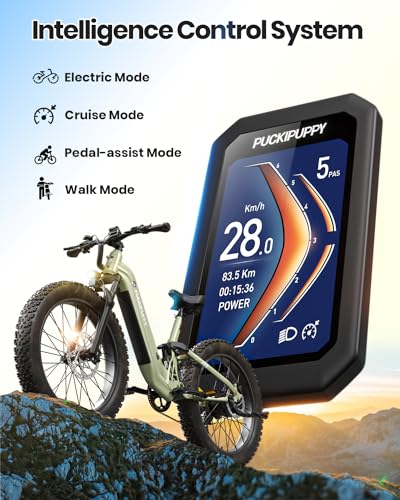 Electric Bike for Adults 960W, 48V 20AH Battery Electric Bicycles, 26" x 4" Fat Tire Full Suspension Step-Thru Ebike, 28MPH Electric Mountain Bike