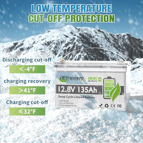 12V 100Ah LiFePO4 Battery, Rechargeabel Deep Cycle Lithium Batteries, 100A BMS with Low-Temp Protection, Perfect for RV, Solar, Boat, Marine