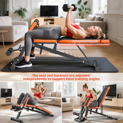 XDDIAS Roman Chair, Adjustable Weight Bench Back Extension Machine for Home Gym, 1000LBS All-in-One Sit Up Bench with Dumbbell Rack, Incline, Decline