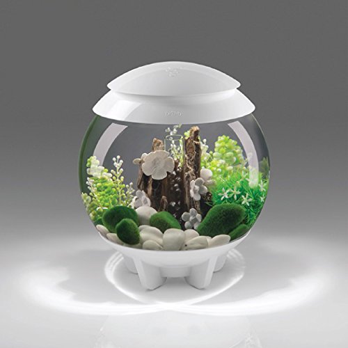 biOrb Halo Aquarium with MCR Lighting