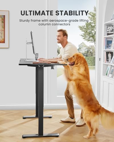 ErGear Height Adjustable Electric Standing Desk, 48 x 24 Inches Sit Stand up Desk, Memory Computer Home Office Desk with Two-Piece Desktop (Walnut)