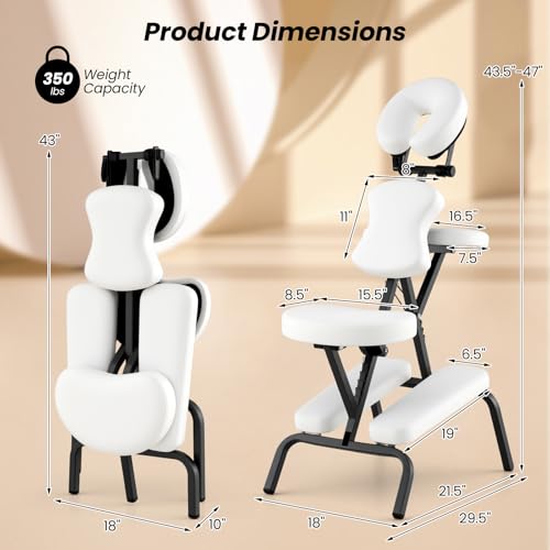Giantex Portable Light Weight Massage Chair Travel Massage Tattoo Spa Chair w/Carrying Bag (White)