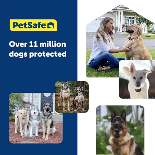 PetSafe Guardian GPS 2.0 Dog Fence + Tracking &ndash; Wireless Dog Fence with Reliable Dual Frequency GPS Tracking &ndash
