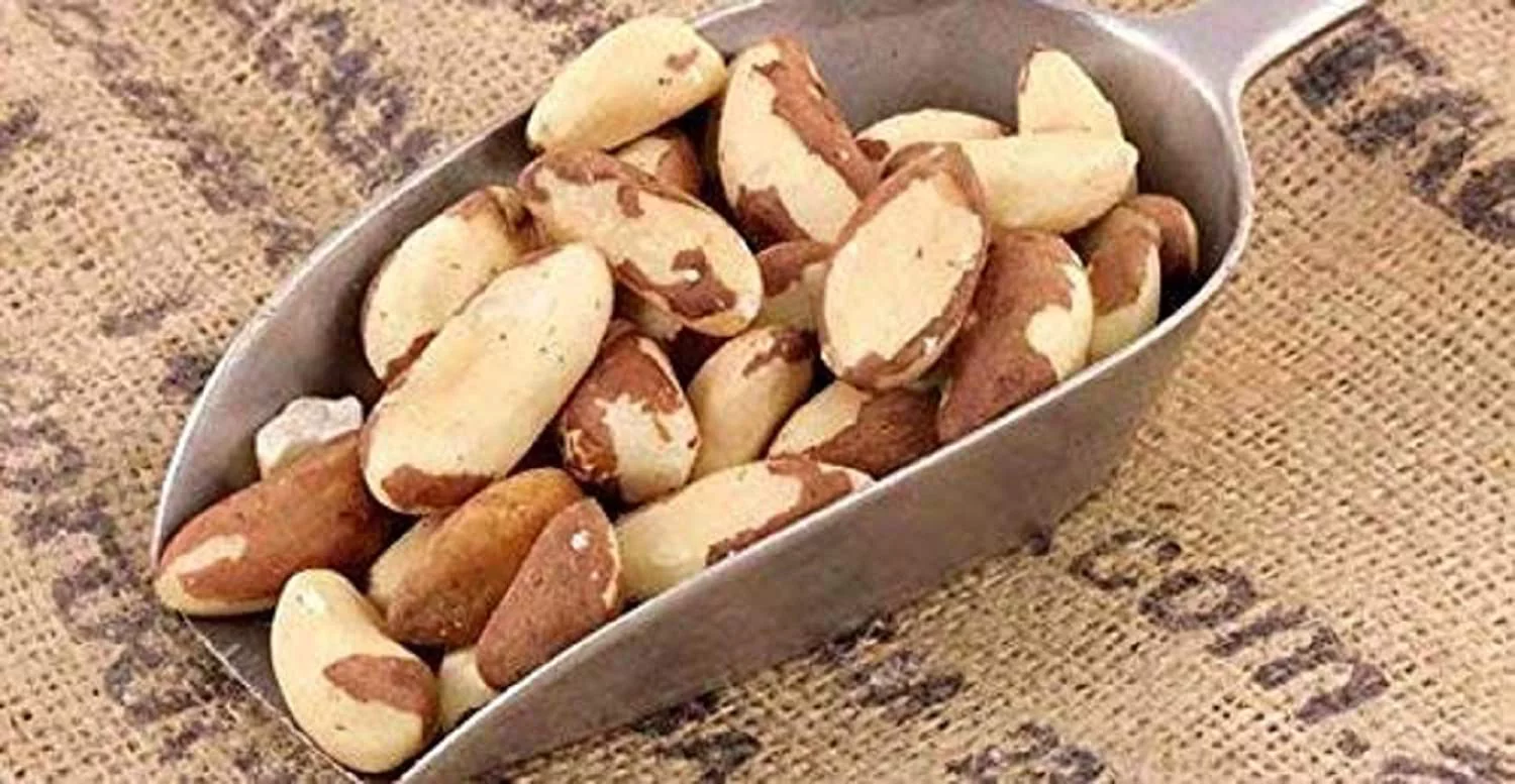 Dry Roasted Brazil Nuts Salted (25 Lbs.) | Farm Fresh Nuts Brand