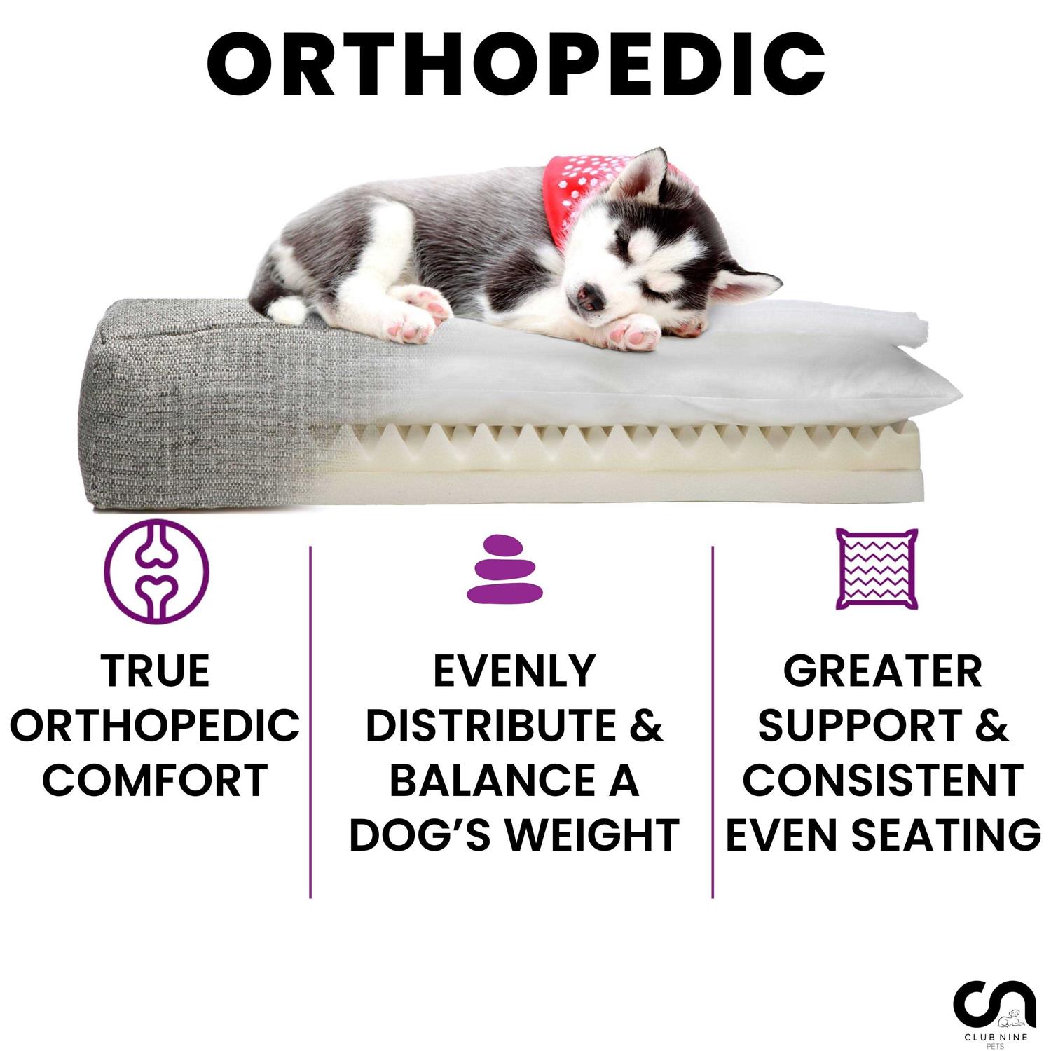Club Nine Pets Roma Orthopedic Dog Bed - Pet Supplies online store