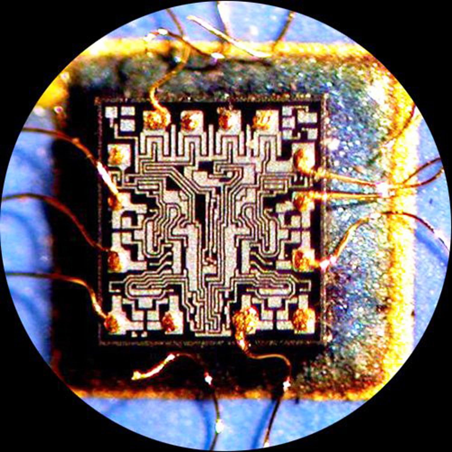 AmScope - MD35A MD35 New Microscope Imager Digital USB Camera, Compatible with Windows XP/Vista/7/8/10
