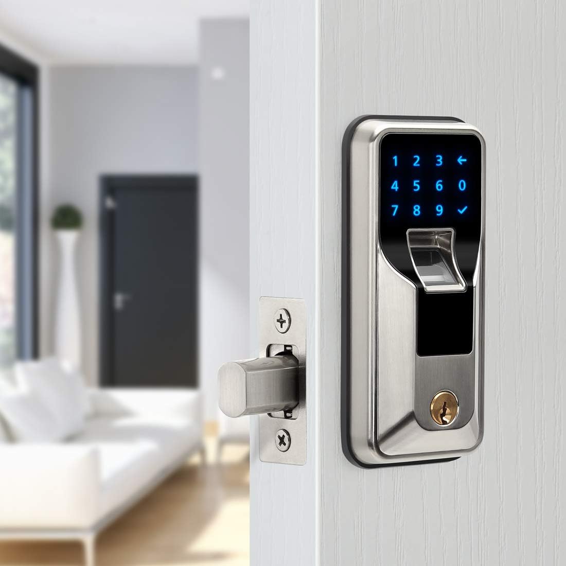 iMagic Electronic Fingerprint Deadbolt, Keypad Entry Door Lock, LED Touch Screen Keypad Lock with Built-in Alarm, One-Touch Locking and Back up Key