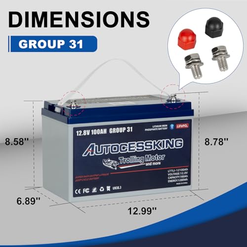 12V 100Ah BCI Group 24 LiFePO4 Battery, 100A BMS Rechargeable Mini Lithium Battery with Low-Temp Protection, Up to 15000 Cycles Perfect for RV