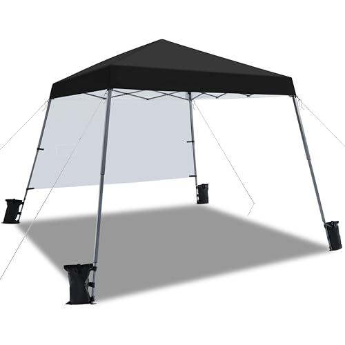 Topeakmart 10 x 10ft Pop-Up Canopy Tent, Portable Instant Shelter Tent with Sun Shade Wall, Outdoor Canopy with Bonus Backpack Bag for Family Trip