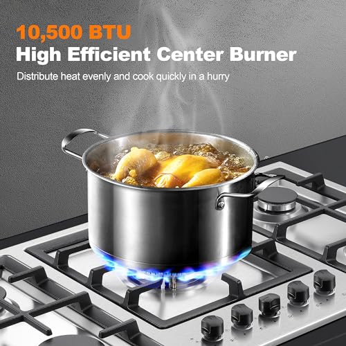 5 Burner Gas Stove Stainless Steel