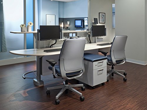 Steelcase Amia Task Chair: Platinum Frame/Base - 4 Way Adjustable Arms - Standard Carpet Casters
