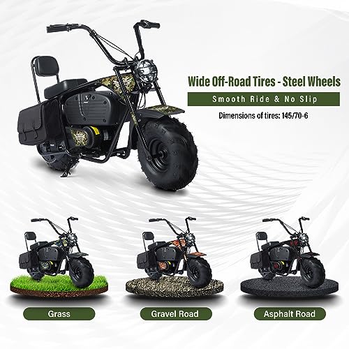 Oryxearth Electric Mini Dirt Bike, 36V Battery 1000W Motor Electrical Powered Motorcycle for Kids, 2 Speeds-15.5MPH/22 MPH, 2 Hanging Bags