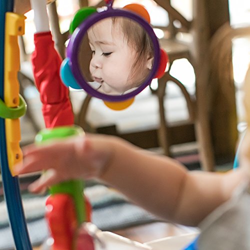 Baby Einstein Neptune's Ocean Discovery Activity Jumper, Ages 6 months +, Max weight 25 lbs., Unisex