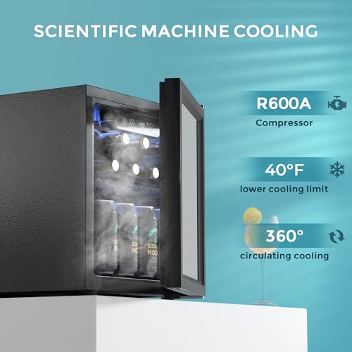 EUHOMY 48 Can Beverage Refrigerator cooler-Mini Fridge Glass Door for Beer Drinks Wines