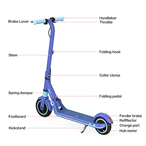 Segway Ninebot eKickScooter - Electric Scooter for Kids 6-14, w/t Adjustable Handlebar Height (Only C2 Pro) for Riders up to 132 lbs