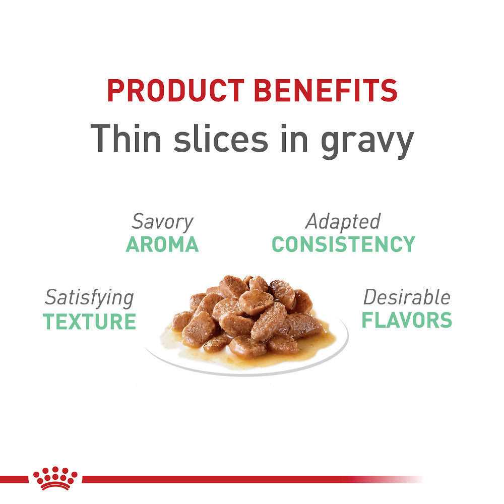 Royal Canin Feline Nutrition Digestive Sensitive Thin Slices in Gravy Canned Cat Food 3-oz - Pet Supplies online store