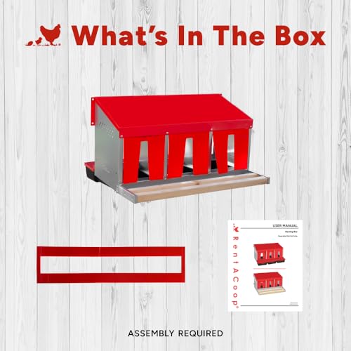 RentACoop Roll-Out Reversible Nesting Box Suite (3 Compartment) for Chickens, Ducks, Poultry