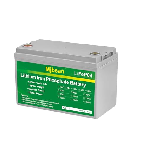 12V 100Ah LiFePO4 Battery 12V 100Ah Lithium Battery,for Boat,Off Grid,Trolling Motor,RV,Solar, Built-in 100A BMS Max.1280Wh