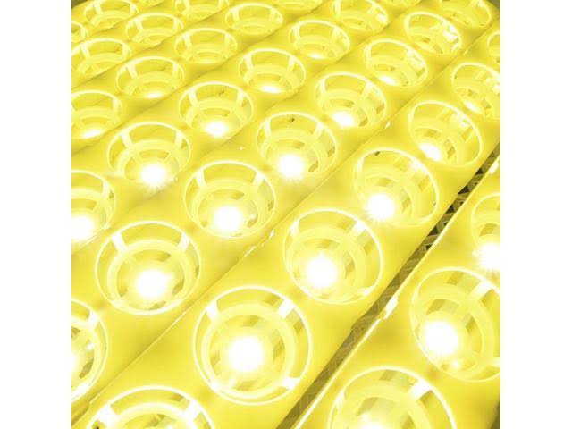Yescom Digital 56 Egg Incubator Hatcher Temperature Control Automatic Turning with Built-in LED Candler