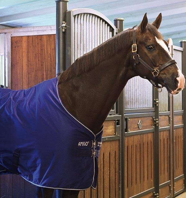 Amigo Stable Sheet - Excalibur/Orange