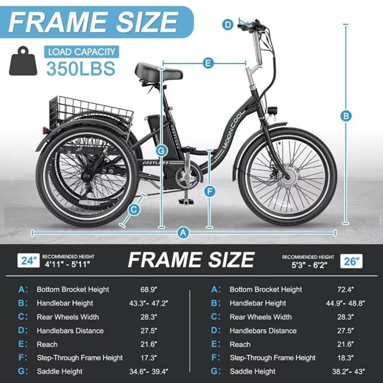 NAIZEA 24 3 Wheel Electric Bike for Senior, 350w Adults Electric Trike, Three Wheel Ebike Bicycle with Removable 36V 10Ah Lithium Battery
