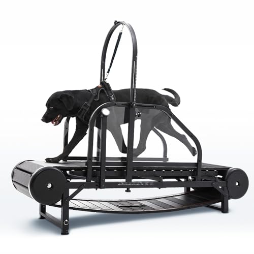 New Dog Treadmill for 2025, Non-Electric Treadmill for Dogs with Step Counter, Adjustable Incline & Brake