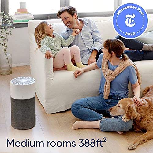 BLUEAIR Air Purifier Large Room, Air Cleaner for Dust Pet Dander Smoke Mold Pollen Bacteria Virus Allergen, Odor Removal