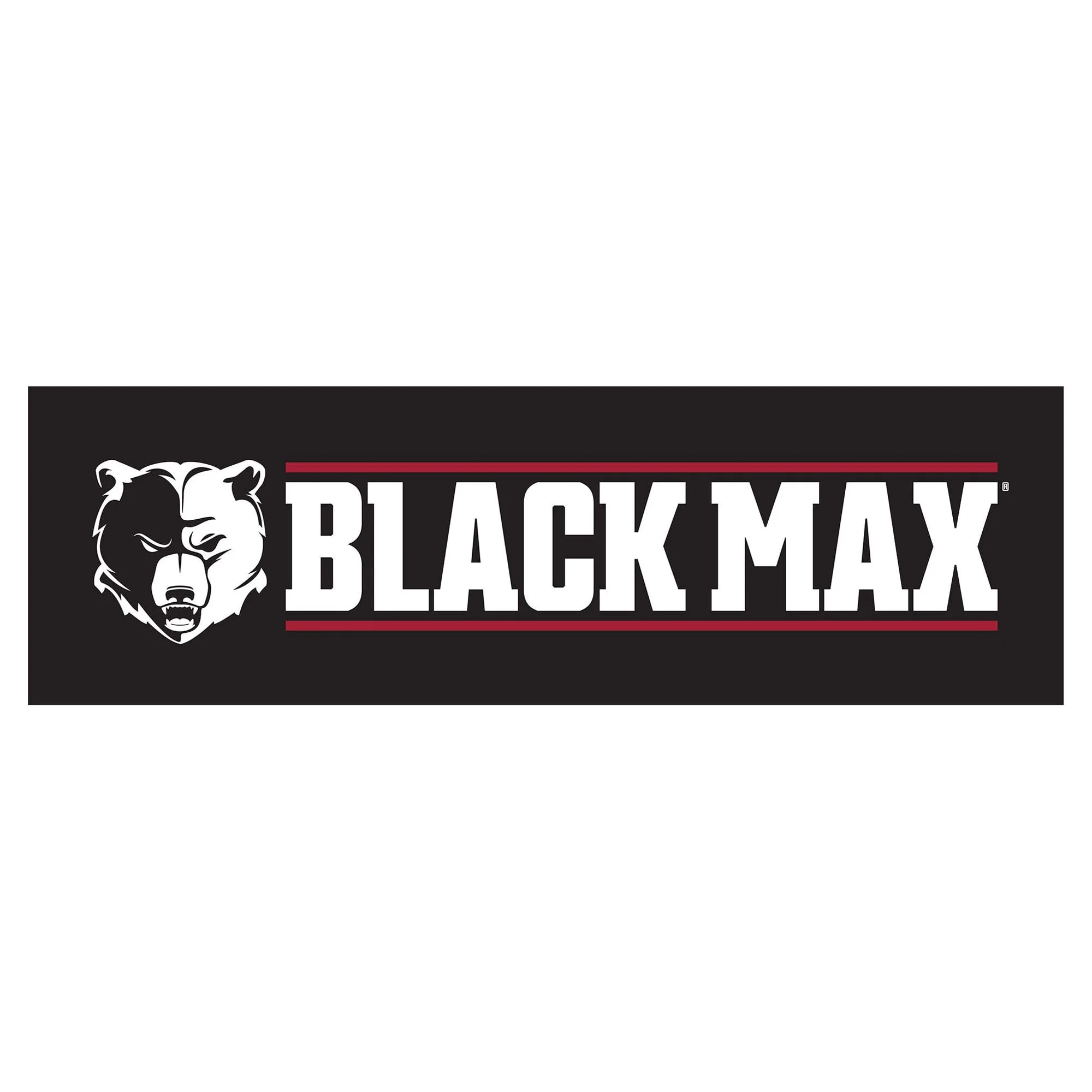 Black Max Portable 3600 Watt Generator with Auto Shutdown, Carb-Compliant