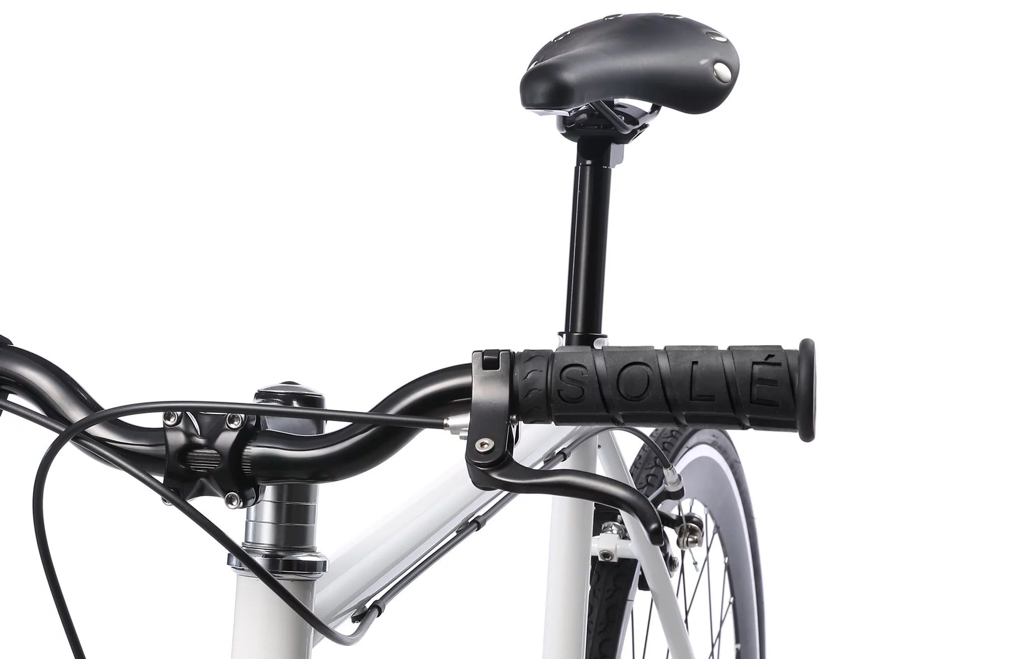 Single Speed Fixed Gear Bicycle by Sol&eacute; Bicycles- the Duke