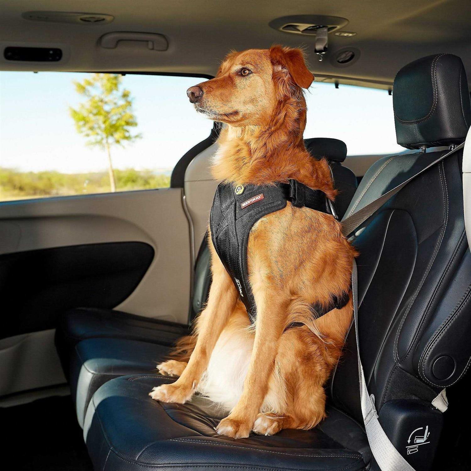 EzyDog Drive Dog Car Harness - Pet Supplies online store