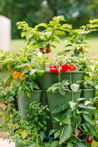 Greenstalk Patented Large 5 Tier Vertical Garden Planter with Patented Internal Watering System Great for Growing a Variety of Strawberries
