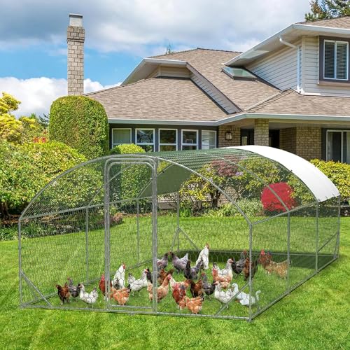 Large Metal Chicken Coop, Walk-in Poultry Cage