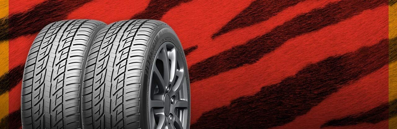 Uniroyal Tiger Paw GTZ A/S 2 All-Season Radial Car Tire for Grand Touring; 215/45R18 93W