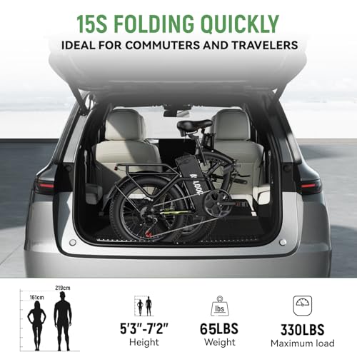 1000W Folding Electric Bike,48V 20AH Removable Battery E Bike,30+MPH,80 Miles Max Range Electric Bike for Adults,20" Fat Tire Foldable ebike