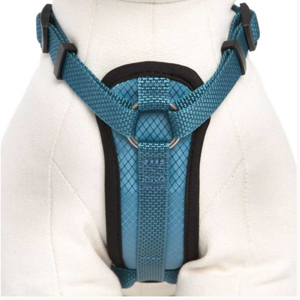 Kong Comfort Padded Chest Plate Dog Harness