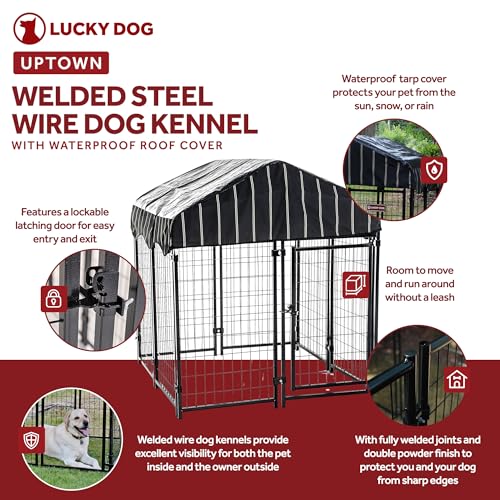Stay Series 4 by 4 by 4.3 Feet Studio Jr. Black Powder Coat Steel Frame Outdoor Dog Kennel with Waterproof Canopy Roof and Gate Door, Khaki