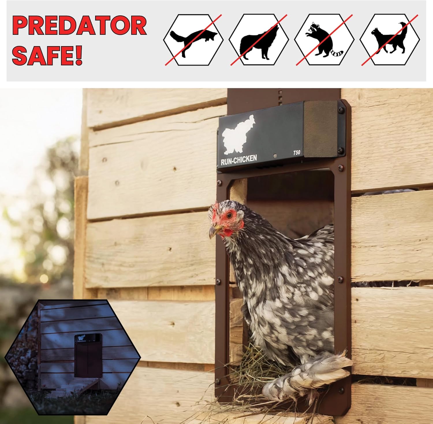 RUN-CHICKEN Door (Brown) Automatic Chicken Coop Door, Programmable with App, Battery Operated, Evening and Morning Delay, Aluminum Door