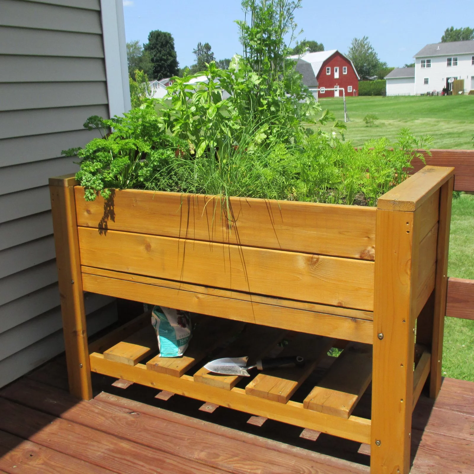 Infinite Cedar Elevated Planter Box with Shelf - Curated Treasures Market