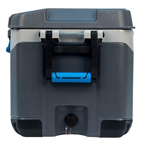 Igloo BMX Hard Coolers (25-72QT)