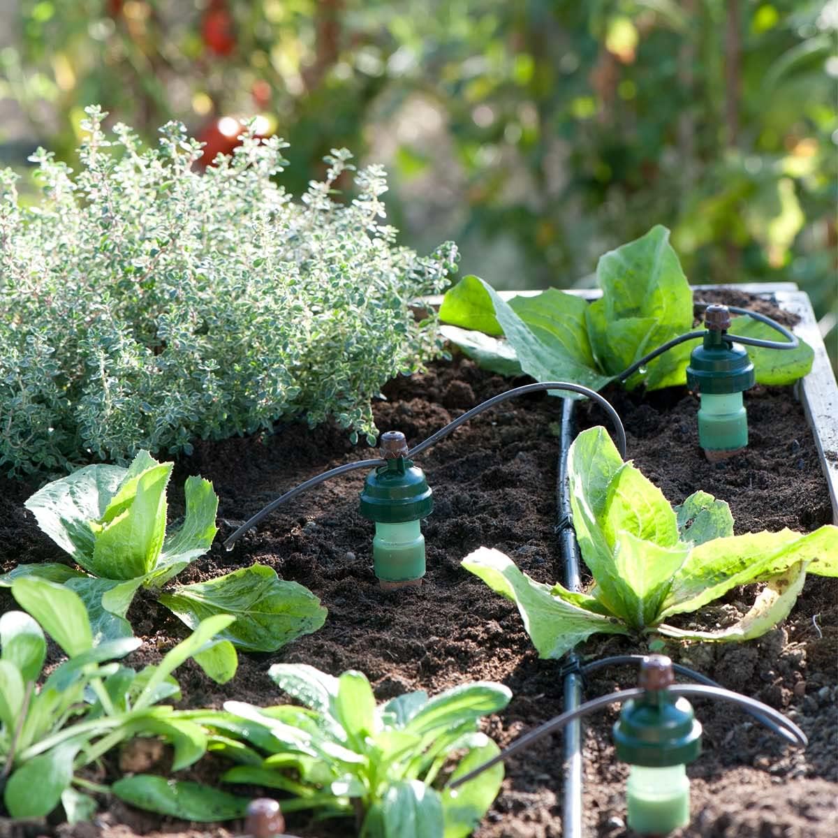 Blumat Drip System - 6 Pack Small Kit with Reservoir - Smart Automatic Watering System, Great for Vacation, Made in Austria