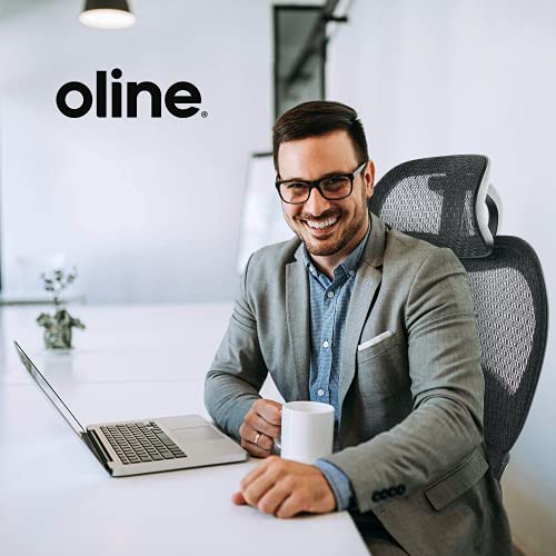Oline ErgoPro Ergonomic Office Chair, Rolling Desk Chair with 4D Adjustable Armrest, 3D Lumbar Support, Blade Wheels