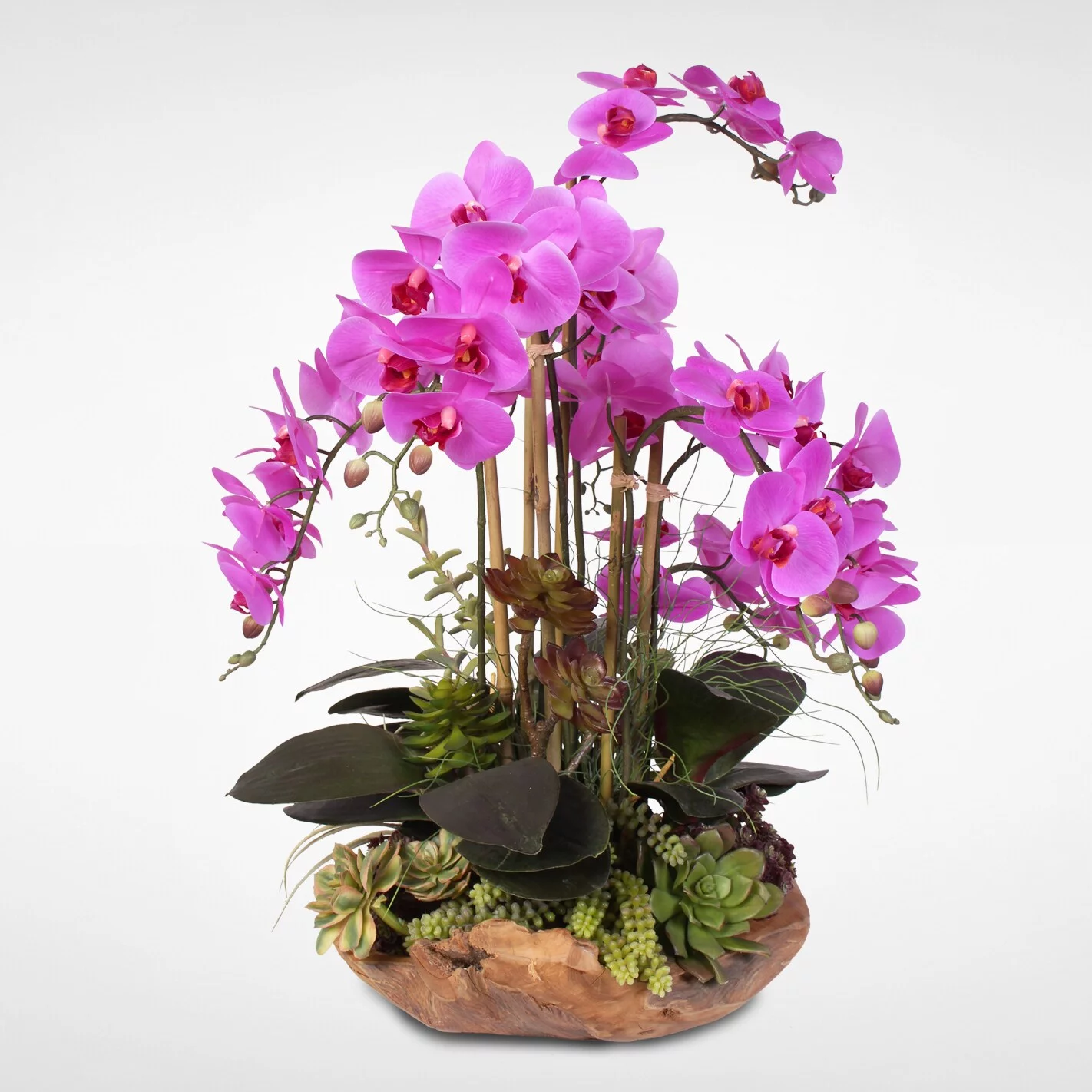 Jenny Silks Real Touch 7-stems Phalaenopsis Silk Orchids With Succulents in Natural Wood Bowl