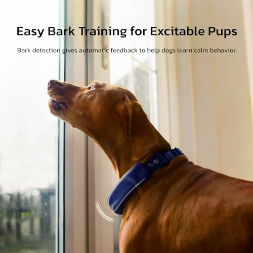 SATELLAI GPS Dog Collar &mdash; World's First GPS Wireless Dog Fence Collar with AI Analysis, Precise Positioning, Invisible Dog Fence