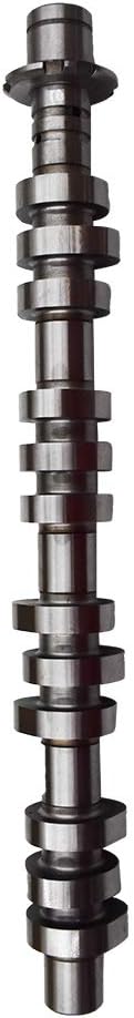 labwork Left Camshaft 5L1Z-6250-AA Fit for 2005-2010 Ford Lincoln Mercury 4.6l 5.4l 3v SOHC Pack of 2