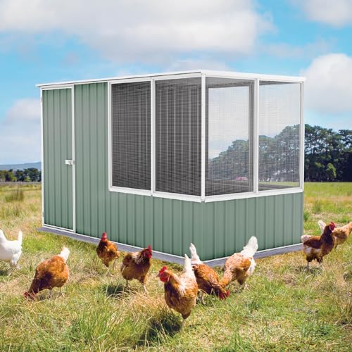 Absco Poultry Paradise: Large Chicken Coop & Chicken Run, 5'x5' Pale Eucalypt Green with Mesh Panels, Side Access Door, Aviary