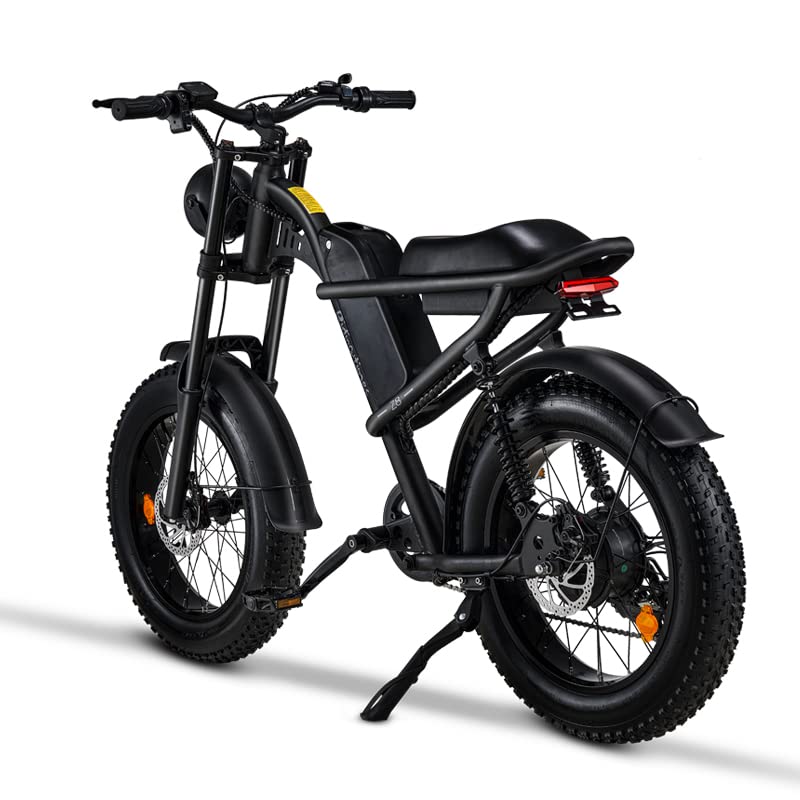 Riding'times 1500W Electric Bike for Adults Full Suspension, Long Seat Dirt Bike with 20" Fat Tire, Max 28/31MPH & 37-150 Miles